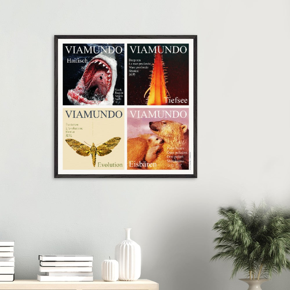 1ef56fce-9ebd-4f09-ba03-3827701373a9