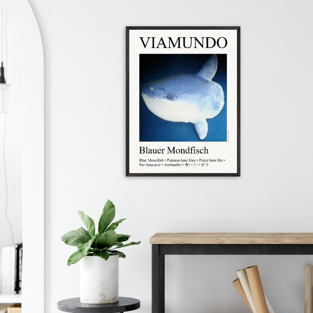 6da8244d-fb33-43a5-a220-53668b92f3a5