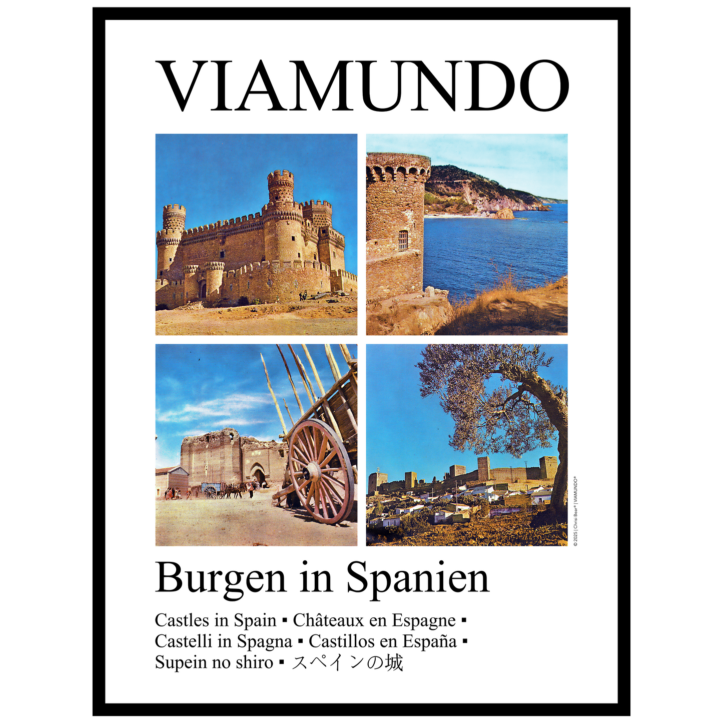 Burgen in Spanien | 60x80 cm