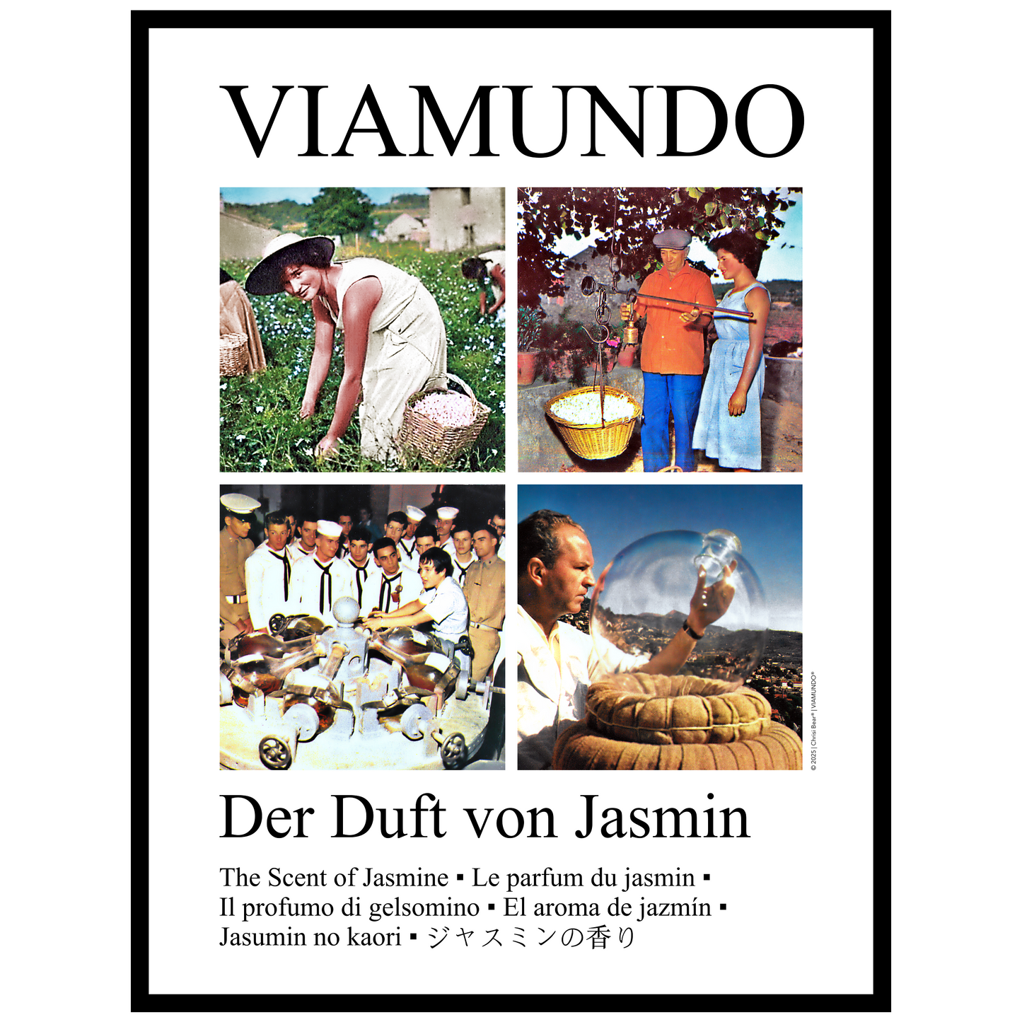 Der Duft von Jasmin | 60x80 cm