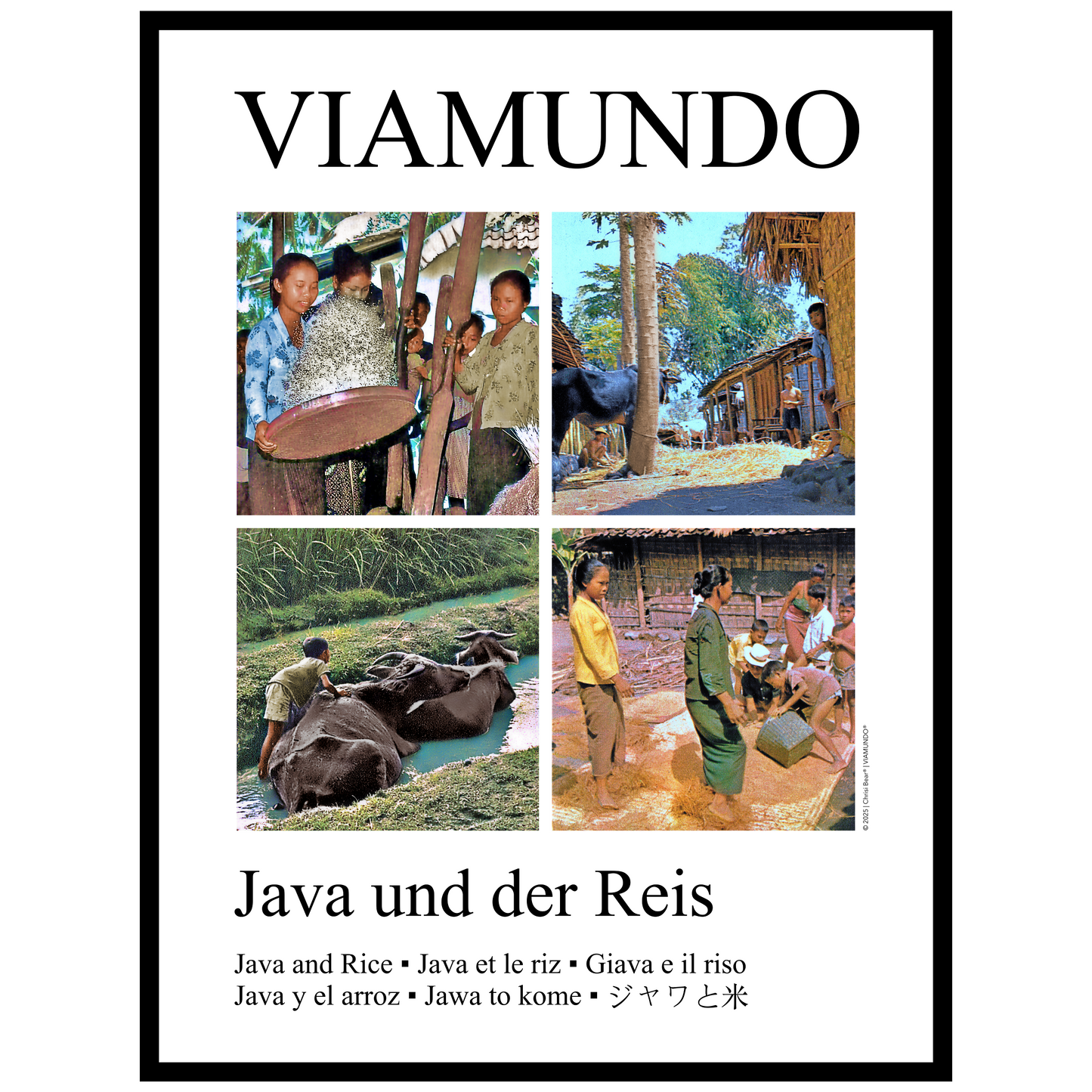 Java und der Reis | 60x80 cm