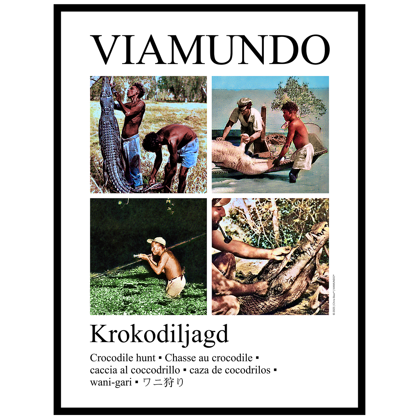 Krokodiljagd | 60x80 cm