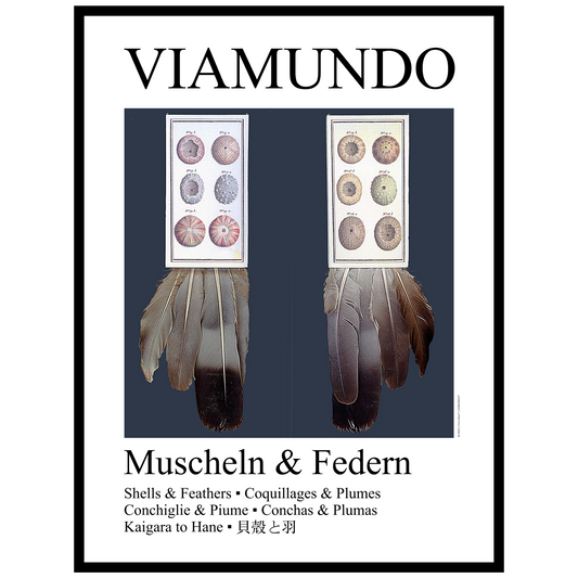 Muscheln & Federn | 60x80 cm