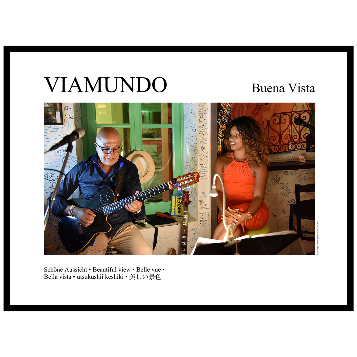 Buena Vista | 60x80 cm