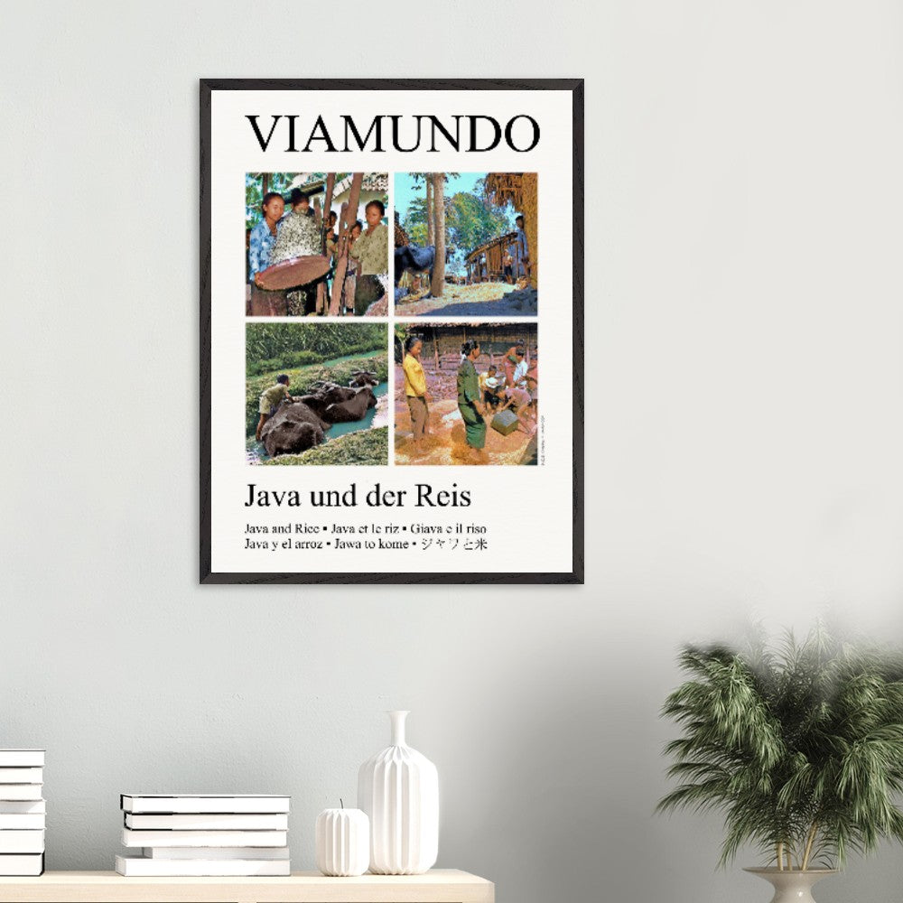 a5a13009-5cf6-4816-9482-5eac125a2186