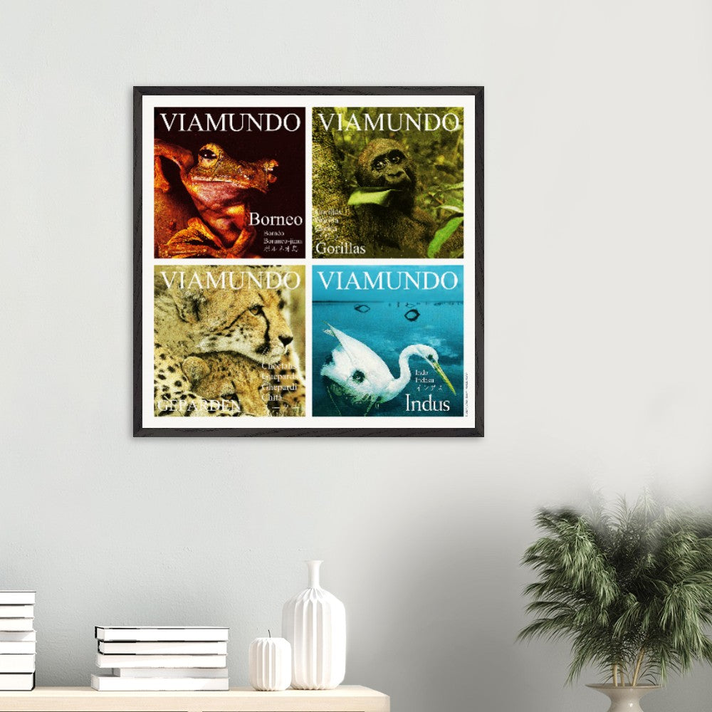 afc6aa56-538c-460c-987a-cf5d6d8b0e5b