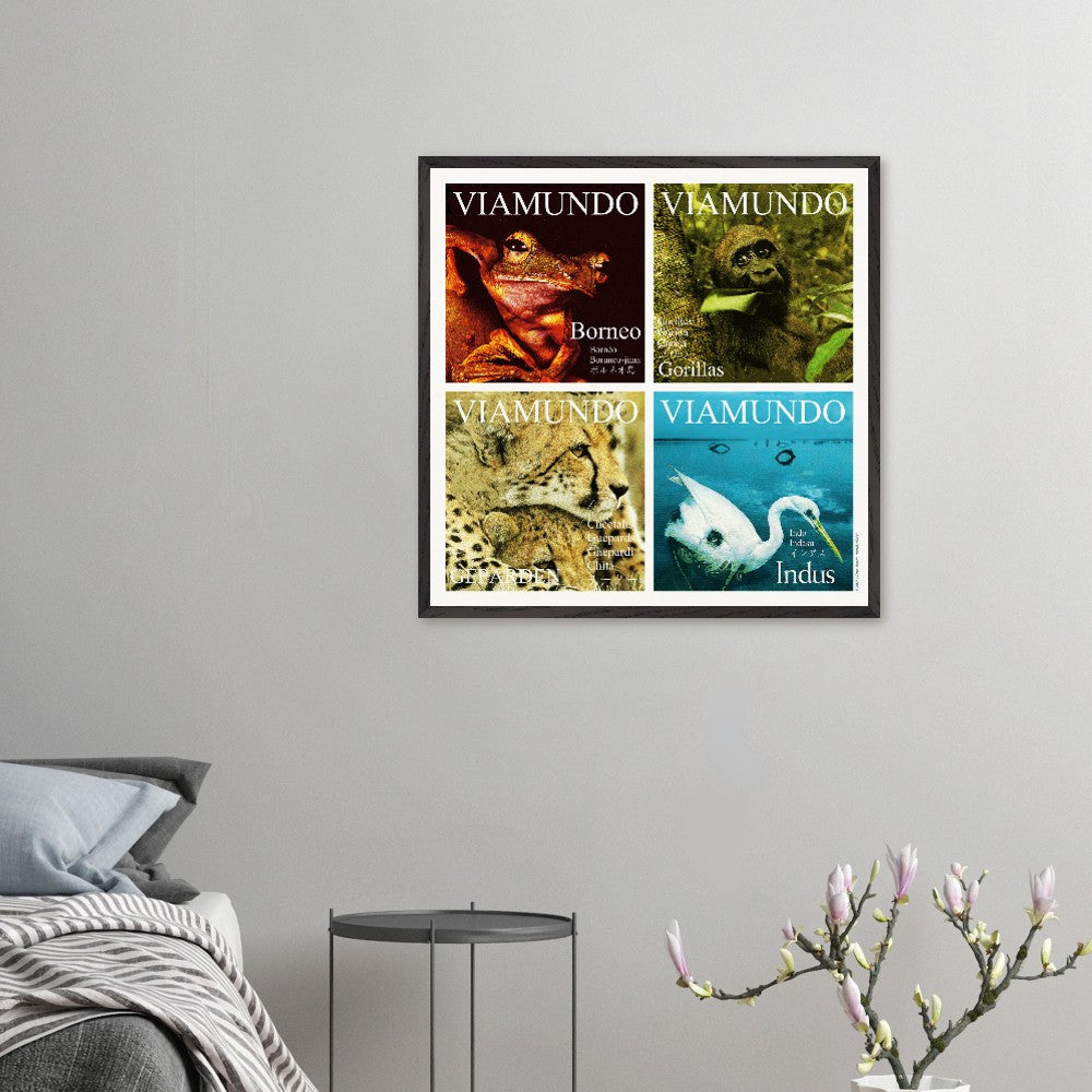 b4960a9e-3f8e-48ba-933c-ec328f992629